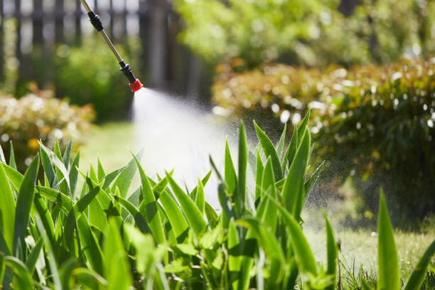 Tamper-Resistant Bait Stations for Rodents in Lytle