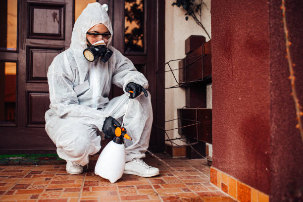 Attic and Crawl Space Rodent Treatment in Lytle